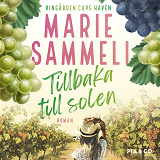 Cover for Tillbaka till solen