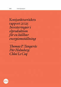 Omslagsbild för Konjunkturrådets rapport 2025: Investeringar i elproduktion för en hållbar energiomställning