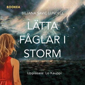 Omslagsbild för Lätta fåglar i storm