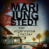 Cover for När stjärnorna faller