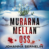 Cover for Murarna mellan oss