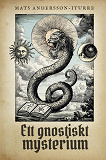 Omslagsbild för Ett gnostiskt mysterium