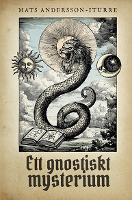 Omslagsbild för Ett gnostiskt mysterium