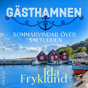 Cover for Sommarvindar över Saltudden
