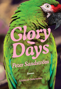 Cover for Glory Days
