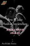 Omslagsbild för Solens varma strålar