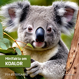 Cover for Minifakta om koalor