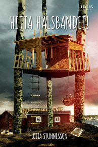 Omslagsbild för Hitta halsbandet!
