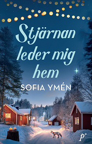 Cover for Stjärnan leder mig hem