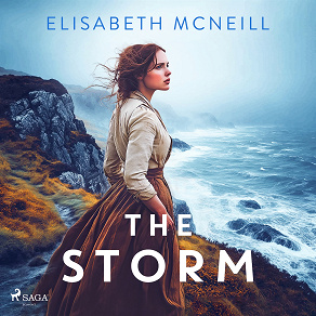 Cover for The Storm