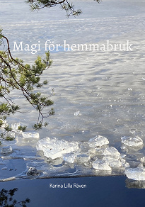 Omslagsbild för Magi för hemmabruk