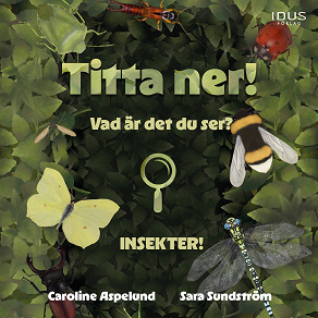 Omslagsbild för Titta ner!