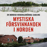 Omslagsbild för Mystiska försvinnanden i Norden