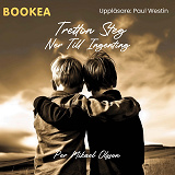 Cover for Tretton steg ner till ingenting