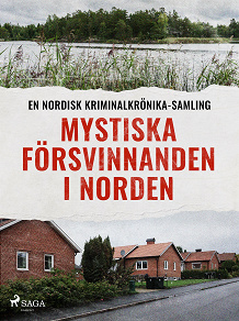 Omslagsbild för Mystiska försvinnanden i Norden
