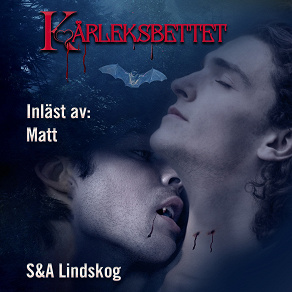 Cover for Kärleksbettet - Erotisk romantasy, HBTQ