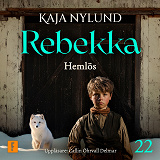 Cover for Hemlös