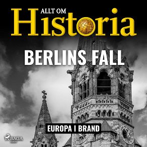 Cover for Berlins fall