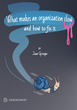 Cover for What makes an organization slow and how to fix it