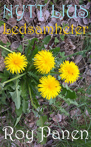 Cover for NYTT LJUS Ledsamheter (thriller)