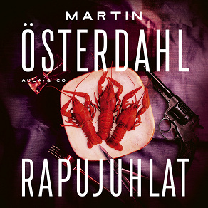 Cover for Rapujuhlat