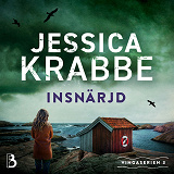 Cover for Insnärjd