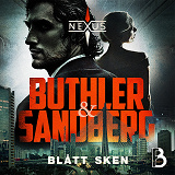 Cover for Blått sken