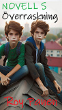 Cover for NOVELLER S SVORDOMSJÄGARE Överraskning (ny version)