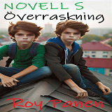 Cover for NOVELLER S SVORDOMSJÄGARE Överraskning (ny version)