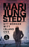 Cover for Ett mörker mitt ibland oss