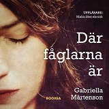 Cover for Där fåglarna är