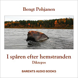Cover for I spåren efter hemstranden