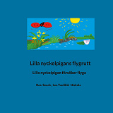 Cover for Lilla nyckelpigans flygrutt: Lilla nyckelpigan försöker flyga