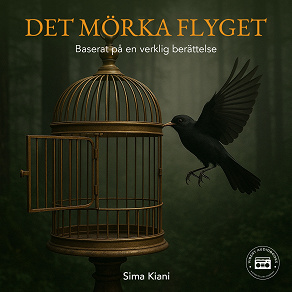Cover for Det mörka flyget - en sann berättelse