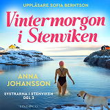 Cover for Vintermorgon i Stenviken