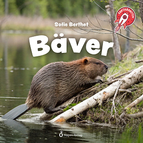 Cover for Faktaraketen - Bäver