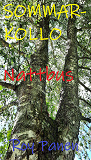 Cover for SOMMARKOLLO Nattbus (homoversion)