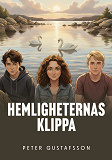 Cover for Hemligheternas klippa: Första året