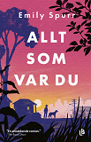 Cover for Allt som var du