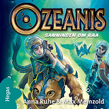 Cover for Sanningen om Raa