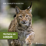 Cover for Minifakta om lodjur