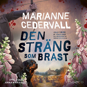 Cover for Den sträng som brast