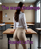 Cover for The exam challenge