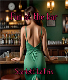 Cover for Fun at the bar