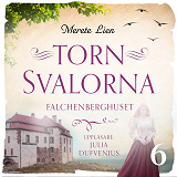 Cover for Falchenberghuset