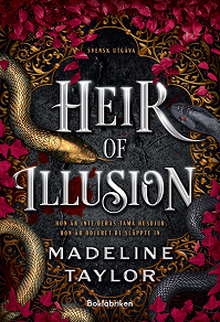Cover for Heir of Illusion