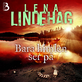 Cover for Bara himlen ser på