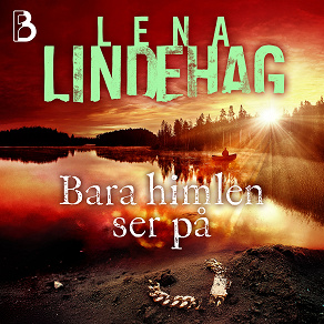 Cover for Bara himlen ser på