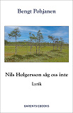 Cover for Nils Holgersson såg oss inte