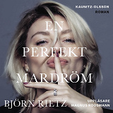 Cover for En perfekt mardröm